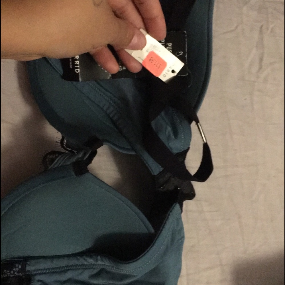Torrid bra size 36C
